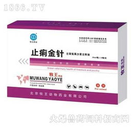 止痢金針 獸藥市場新寵，招商火爆引關(guān)注